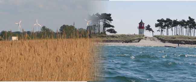 Hiddensee am Nationalpark